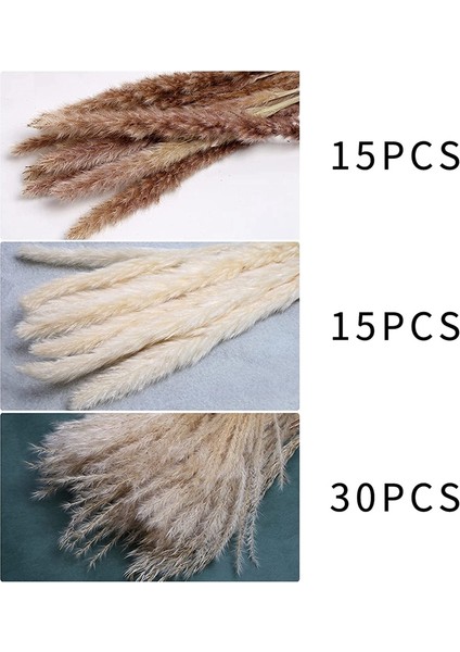 60 Adet Kurutulmuş Pampas Çim Dekor 17 Inç Doğal Pampas Çiçek/kurutulmuş Pampas Çim Çiçek Düzenlemeleri Için Düğün Dekor (Yurt Dışından) modelleri