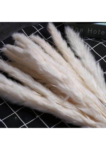 60 Adet Kurutulmuş Pampas Çim Dekor 17 Inç Doğal Pampas Çiçek/kurutulmuş Pampas Çim Çiçek Düzenlemeleri Için Düğün Dekor (Yurt Dışından) indirimleri