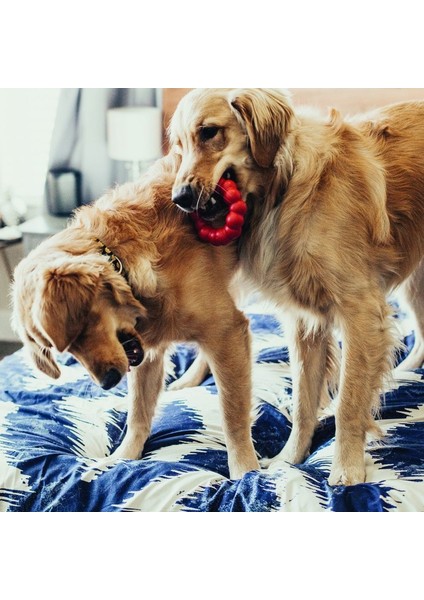 Ring Köpek Isırma Oyuncağı L
