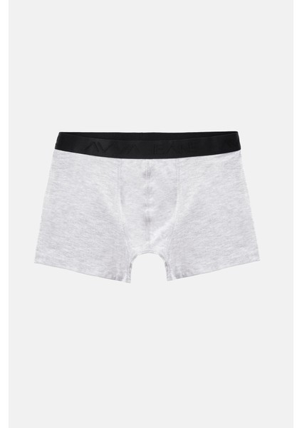 Erkek Gri Düz 2'li Esnek Pamuklu Kutulu Boxer B009500