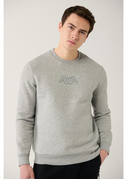 Erkek Gri Bisiklet Yaka 3 Iplik Şardonlu Baskılı Sweatshirt A32y1273