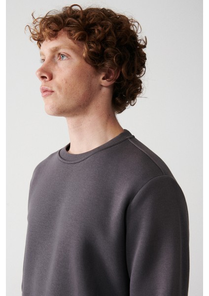 Erkek Antrasit Bisiklet Yaka 3 İplik Şardonlu Pamuklu Sweatshirt E001017