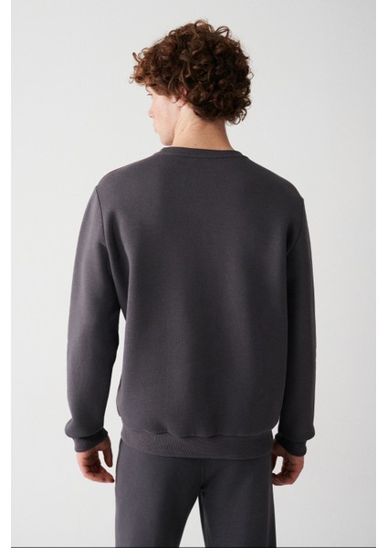 Erkek Antrasit Bisiklet Yaka 3 İplik Şardonlu Pamuklu Sweatshirt E001017