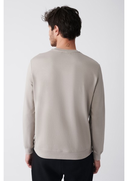 Erkek Taş Bisiklet Yaka Pamuklu 2 Iplik Şardonsuz Sweatshirt E001200