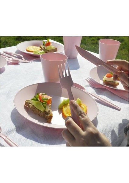 Saban Piknik Seti Kare Pembe 31 Parça fiyatları
