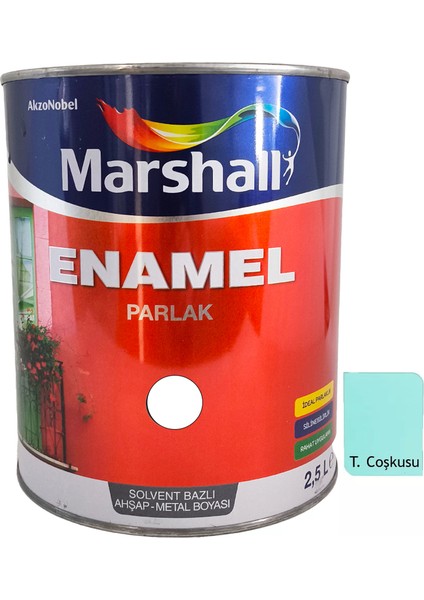 Enamel Sentetik Parlak Yağlı Boya 2.5 Lt Turkuaz Coşkusu