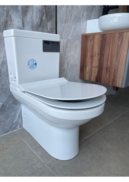Terra Kanallı Duvara Sıfır Klozet Takım modelleri