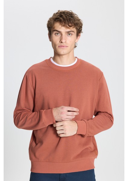 Erkek Açık Kahve Standart Fit Normal Kesim Bisiklet Yaka 3 Iplik Pamuklu Sweatshirt modelleri