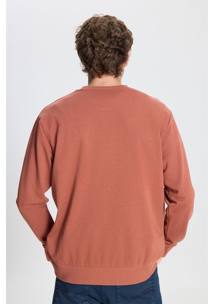 Erkek Açık Kahve Standart Fit Normal Kesim Bisiklet Yaka 3 Iplik Pamuklu Sweatshirt indirimleri