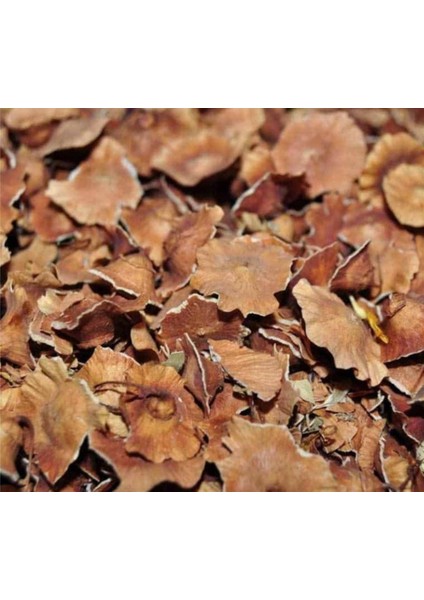 Çarkıfelek Otu 250G fiyatları