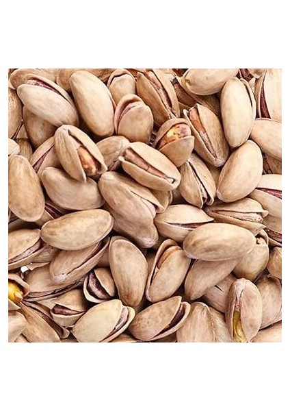 Antep Fıstığı L. 250 gr