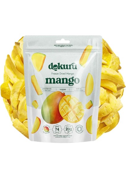 Mango Kuru Meyve Cipsi 20 gr x 2 Adet