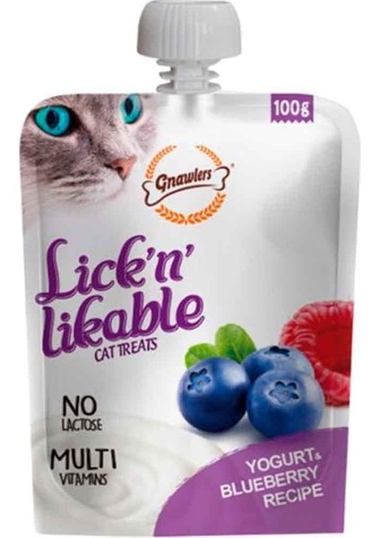 Kedi Ödülü Yoğurtlu ve Yaban Mersinli Krema 100 gr