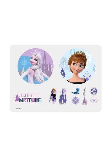 Kablolu Kulaklık Disney Frozen Karlar Ülkesi Anna Elsa Çocuk Kulaklığı Lisanslı DY-6513-FR2 11 Adet Sticker Ile Birlikte