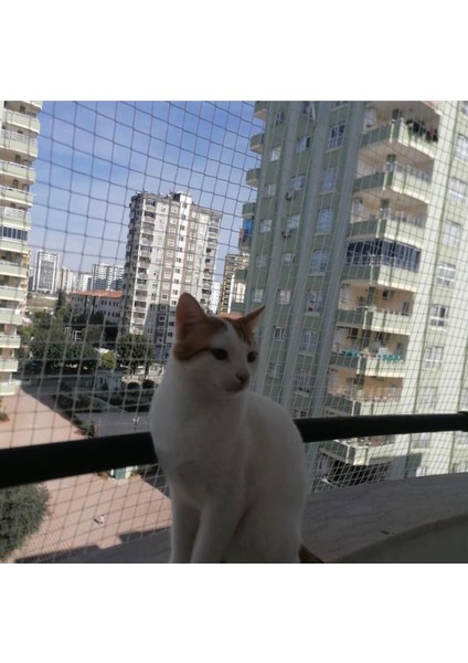 Kedi Filesi, hayvan koruma filesi (2.5metre*8metre)