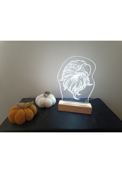 Kartal Gece Lambası Dekoratif LED Lamba USB 25*17