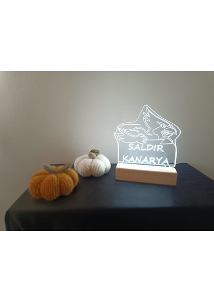 Saldır Kanarya Gece Lambası Dekoratif LED Lamba USB 20*16,5 fırsatları