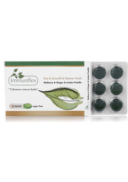 Dut & Zencefil & Ihlamur Pastil x 4 Adet