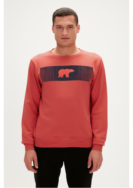Fancy Crewneck Erkek Sweatshirt