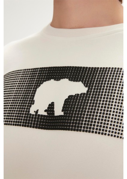 19.02.12.007-C108 Fancy Erkek Sweatshirt