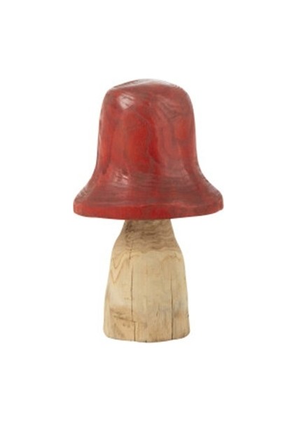 Kırmızı Şapkalı Mantar / M