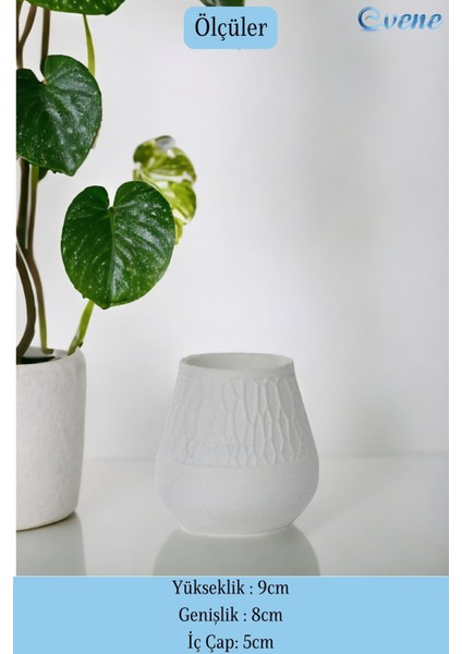 Tezgah Üstü Kaşıklık Dekoratif Dik Kaşıklık Silindir Kaşıklık Altın Renk fiyatları