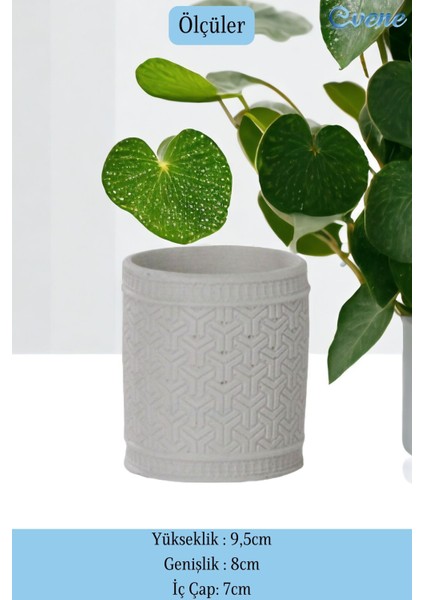 Tezgah Üstü Kaşıklık Dekoratif Dik Kaşıklık Silindir Kaşıklık Altın Eskitme Renk fiyatları