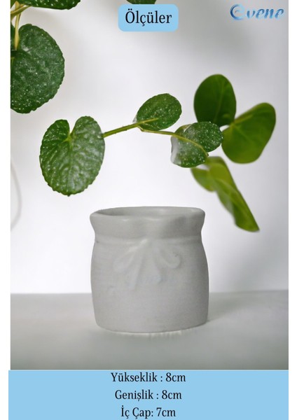 Tezgah Üstü Kaşıklık Dekoratif Dik Kaşıklık Silindir Kaşıklık Siyah Renk fiyatları