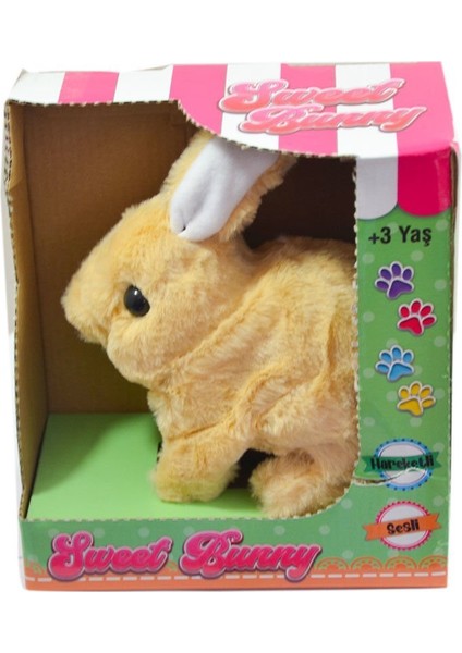 40098 Tavşan Peluş Pilli-Aya Toys