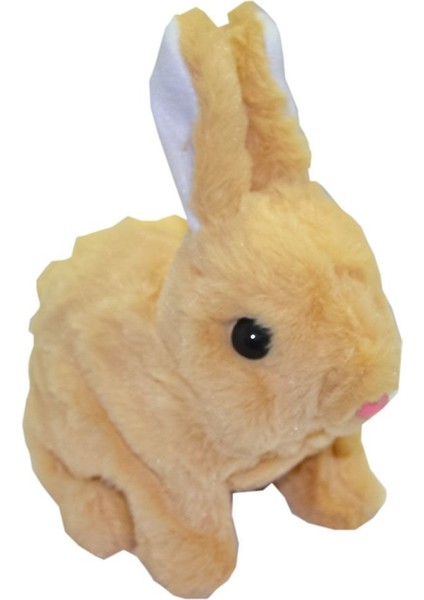 40098 Tavşan Peluş Pilli-Aya Toys modelleri