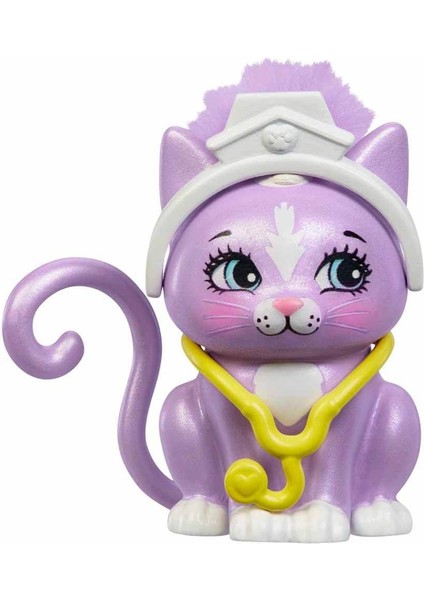 HLH22 Enchantimals Klinik Oyun Seti modelleri