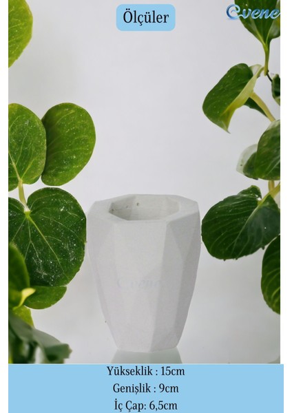 Tezgah Üstü Kaşıklık Dekoratif Dik Kaşıklık Silindir Kaşıklık Altın Renk fiyatları