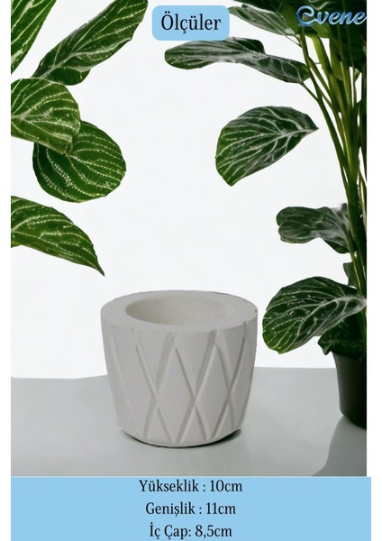 Tezgah Üstü Kaşıklık Dekoratif Dik Kaşıklık Silindir Kaşıklık Beyaz Renk fiyatları