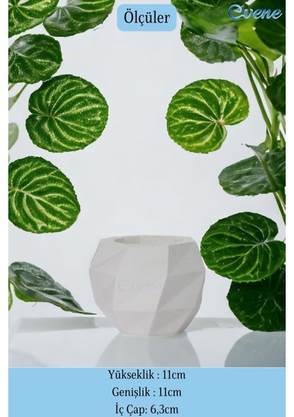 Tezgah Üstü Kaşıklık Dekoratif Dik Kaşıklık Silindir Kaşıklık Altın Eskitme Renk fiyatları