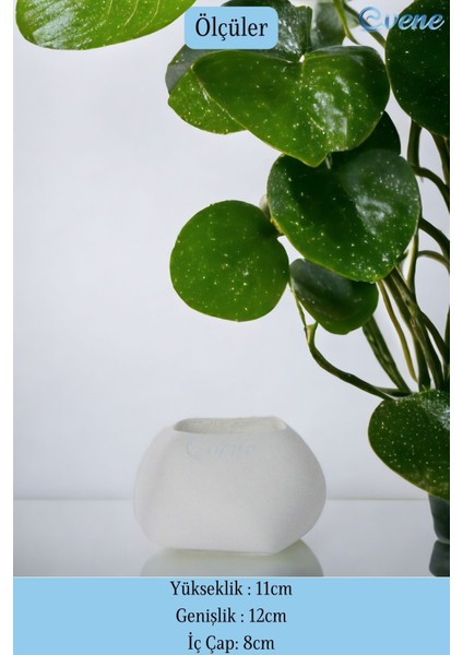 Tezgah Üstü Kaşıklık Dekoratif Dik Kaşıklık Silindir Kaşıklık Siyah Renk fiyatları