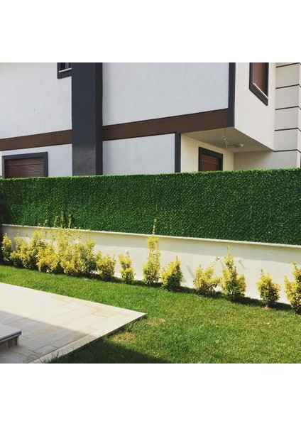 Çimli Bahçe Teli Çimçit 200 cm x 10 M