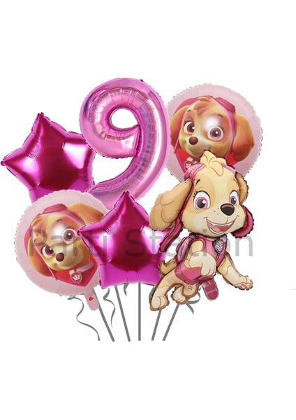 Paw Patrol Skye 9 Yaş Pembe Balon Set Paw Patrol Skye Konsept Doğum Günü Parti Balon Set