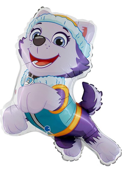 Paw Patrol Everst 8 Yaş Balon Set Paw Patrol Everst Doğum Günü Folyo Balon Set fiyatları