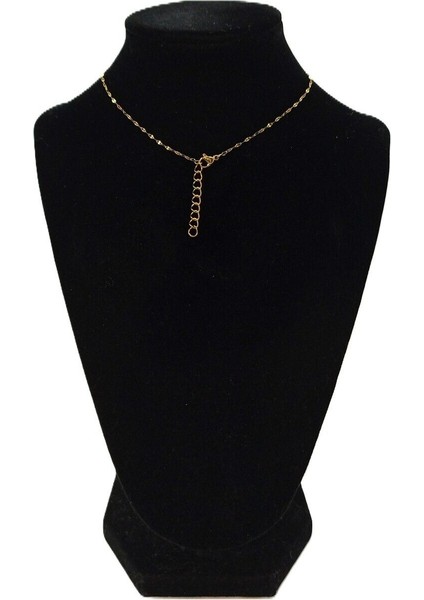 Kadın Çelik Kolye modelleri