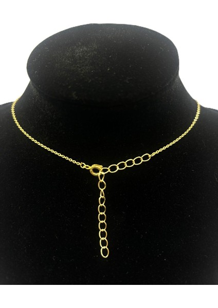 Kadın Zirkon Taş Kolye fiyatları