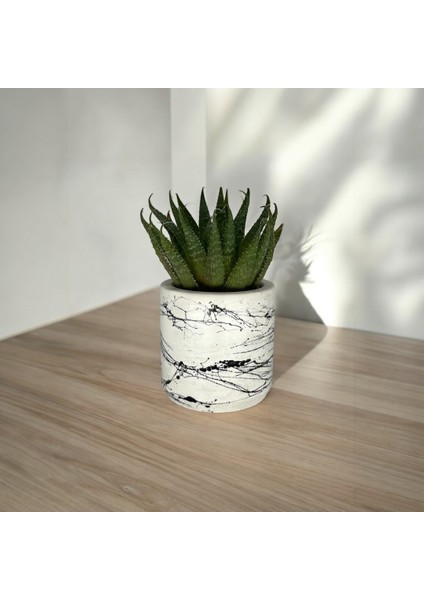 Küçük Boy Mermer Desen Beyaz Beton Saksı 5,5 Cm Üretim Saksıları Için Özel Üretim