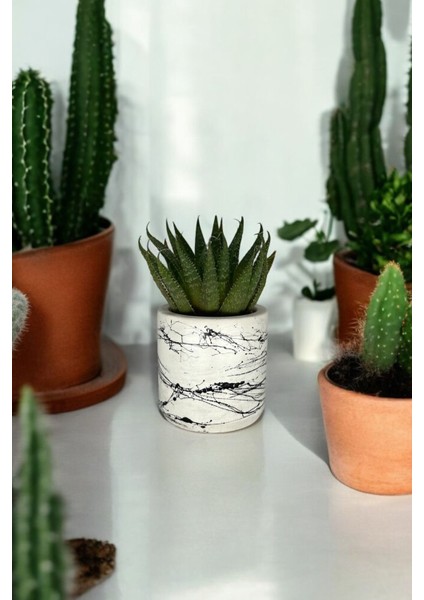 Küçük Boy Mermer Desen Beyaz Beton Saksı 5,5 Cm Üretim Saksıları Için Özel Üretim