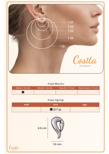 Kuğu Figür Rose Modern Günlük Elbise Küpe indirimleri