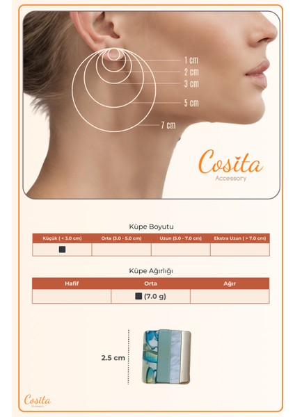 Çoklu Halka Detaylı Silver Zarif Küpe Tasarımı indirimleri