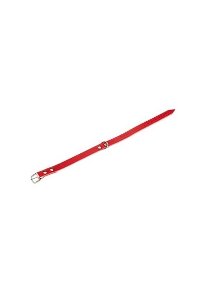 Deri Evcil Hayvan Boyun Tasması, 47 cm-18 mm, Kırmızı