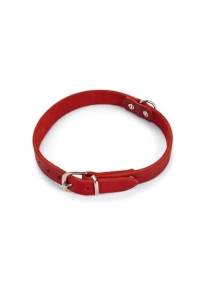 Deri Evcil Hayvan Boyun Tasması, 47 cm-18 mm, Kırmızı