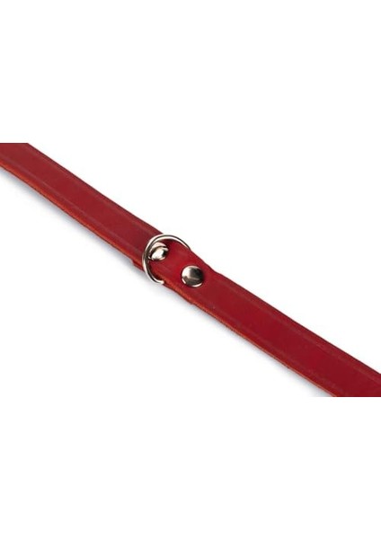 Deri Evcil Hayvan Boyun Tasması, 47 cm-18 mm, Kırmızı