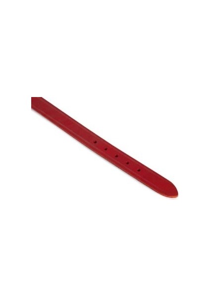 Deri Evcil Hayvan Boyun Tasması, 47 cm-18 mm, Kırmızı
