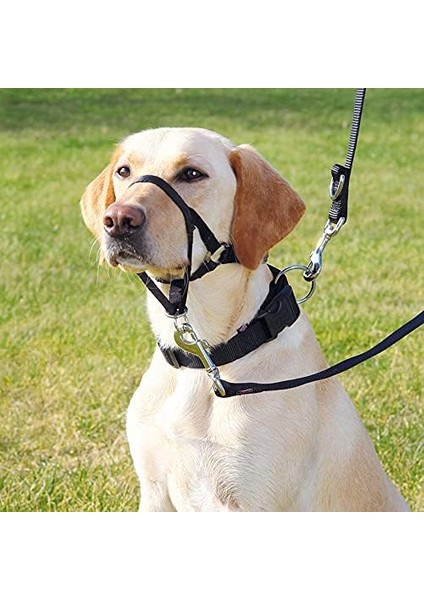 Trixie Uzman Köpek Eğitim Tasması S 22CM fiyatları