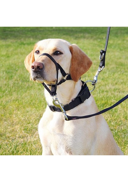 Trixie Uzman Köpek Eğitim Tasması S 22CM indirimleri